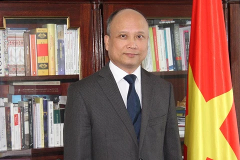 越南驻法大使呼吁法国等国际伙伴努力使对话、团结与合作成为越南与所有伙伴关系的核心