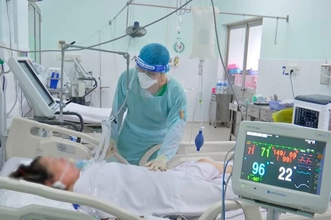 16日越南新增确诊病例3080例 新增康复病例近6万例
