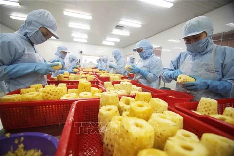 马来西亚媒体：越南巩固其在新鲜水果出口方面的地位