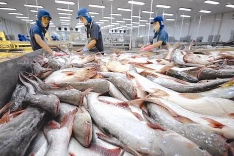 越南查鱼对美国市场的出口活动仍顺畅平稳