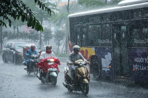 越南北部平原和沿海地区出现特大暴雨天气