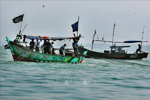 印尼与澳大利亚合作打击非法捕捞