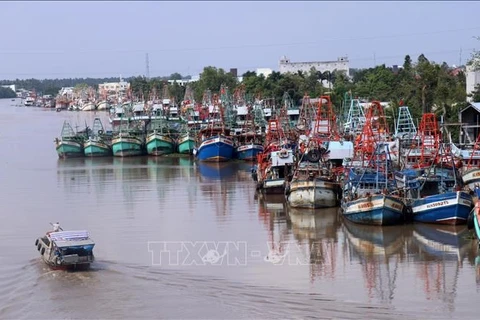 解除IUU“黄牌”警告：坚江省严厉惩治侵犯外国海域的渔船 