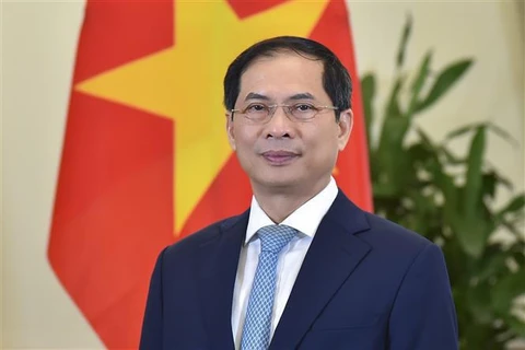 越南外交部长裴青山：与国际社会携手共建和平世界