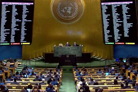 联合国大会通过了有关乌克兰局势的决议 越南呼吁结束冲突