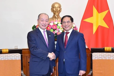 越南外长裴青山会见日本外务副大臣高木启