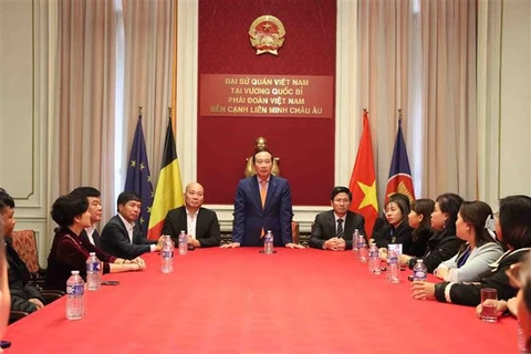 越南和比利时举行“见面与问候”企业对接网络活动