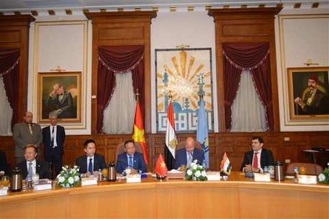 促进越南与埃及首都的全面合作关系