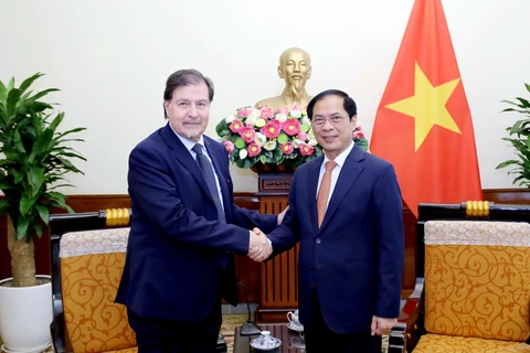 越南 – 智利外交部间第七次政治磋商会在越南举行