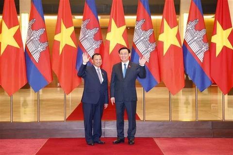 越南国会主席王廷惠与柬埔寨参议院主席赛冲举行会谈