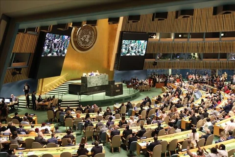 第77届联合国大会：越南强调坚持国际法基本原则和保护环境义务