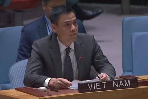 越南在联合国安理会上再次重申关于巴勒斯坦问题的一贯立场