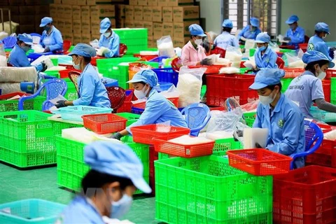 东盟与中日韩分享疫后劳动力市场恢复经验
