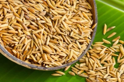 在日越南科学家从稻壳中发现珍贵化合物用于抑制癌细胞