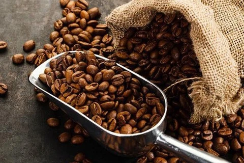 越南咖啡出口价格每吨增加1000万越盾