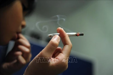 印尼政府决定提高烟草制品消费税
