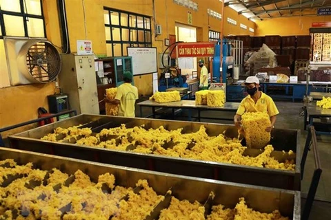 越南橡胶出口在2022年底持续面临困境 