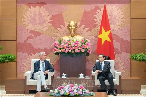 越南国会常务副主席陈青敏会见比利时参议院第一副议长安德里斯·格雷弗罗伊