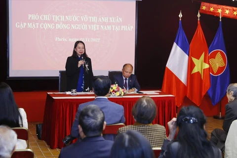 越南国家副主席武氏映春与旅法越南人代表举行见面会