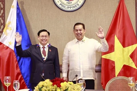 越南国会主席王廷惠与菲律宾众议院议长马丁·罗穆亚德斯举行会谈