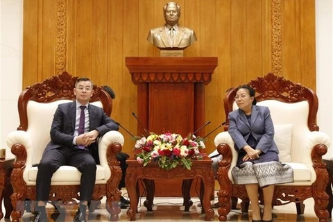 老挝总理和国会常务副主席会见越南国家审计署代表团