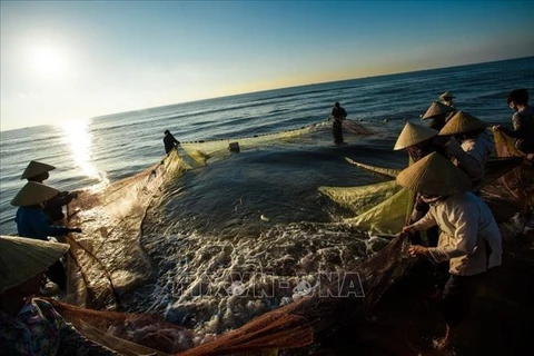 越南渔业迎来与世界渔业接轨的机遇