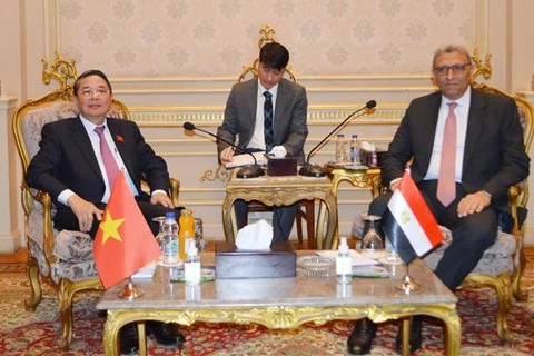 越南国会副主席阮德海访问埃及