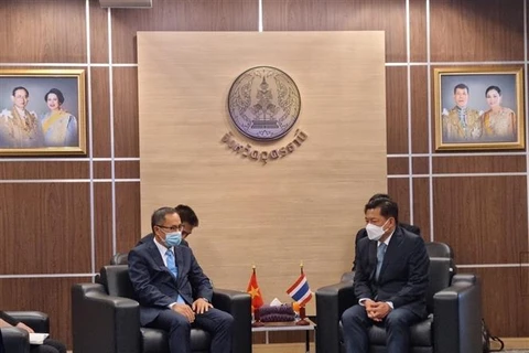 加强越南各地方与泰国乌隆他尼府的合作
