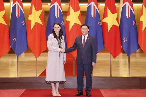 新西兰驻越南大使特雷登·多布森：积极推动越新战略伙伴关系向前发展