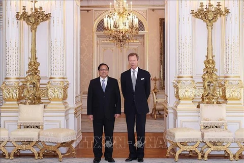 越南政府总理范明政会见卢森堡大公亨利