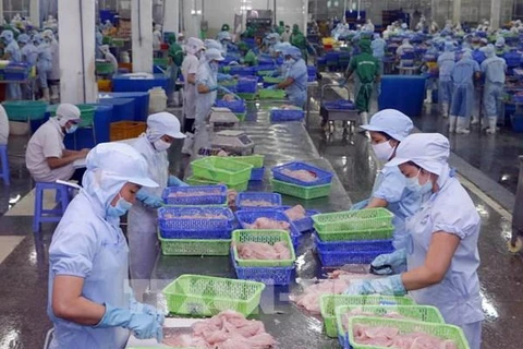 2022年前11月越南查鱼出口同比增长77%