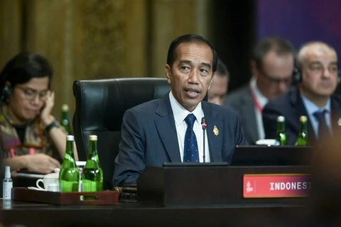 印度尼西亚呼吁东盟与欧盟促进平等伙伴关系