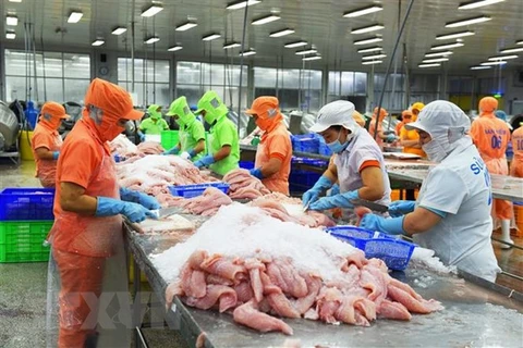 2023年越南查鱼对美出口前景乐观