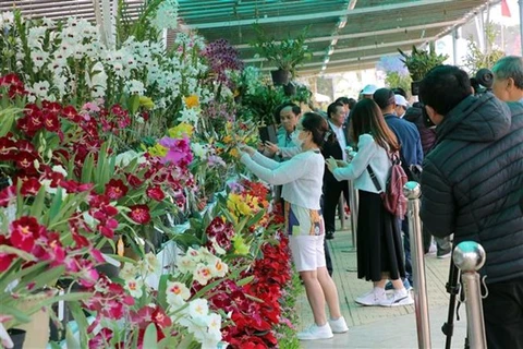 大叻花卉空间和国际花卉及树木展正式开放