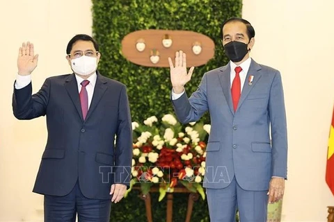 印尼媒体：印尼越南关系建立于坚实的基础上