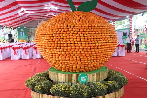同塔省首届来𡑵橘子节正式开幕