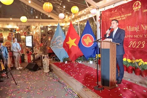 越南驻各国大使馆举行迎新春活动 共叙亲情友情乡情