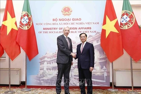 越南外长裴青山与葡萄牙外长若昂·戈麦斯·克拉维尼奥举行会谈