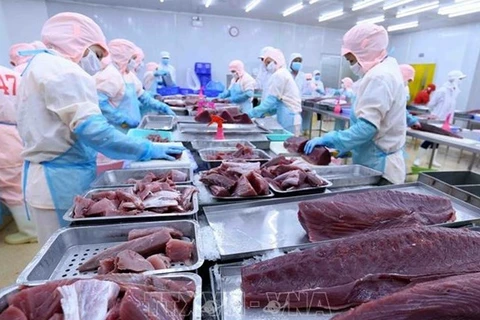 2022年越南金枪鱼出口额首次达10亿美元