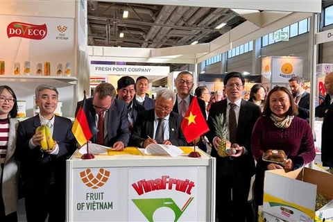 经济外交：越南企业参加世界最大的新鲜果蔬展
