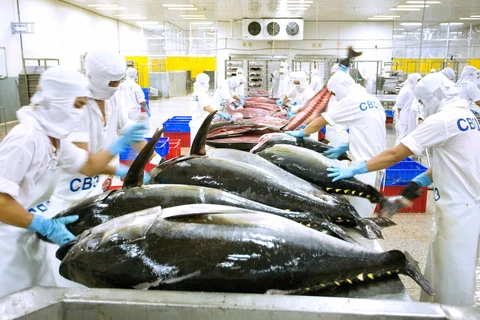 美国成为越南最大的金枪鱼出口市场