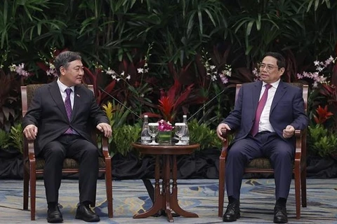 越南政府总理范明政会见新加坡各大企业领导