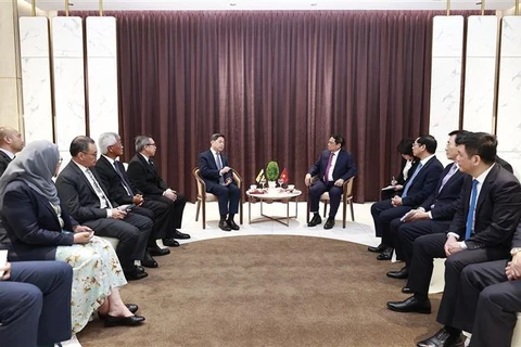 越南政府总理范明政会见文莱第二财政经济部长