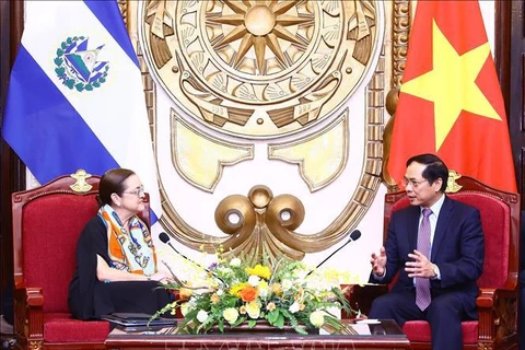 越南外交部部长裴青山与萨尔瓦多外交部部长希尔举行会谈