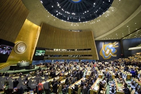 越南就落实担任联合国人权理事会成员任务召开会议