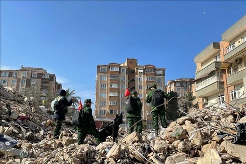  土耳其和叙利亚强震：土耳其人民对越南国防部救援队努力开展搜救工作十分感激