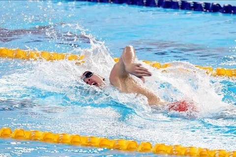 由30人组成的 越南游泳队将参加第32届东运会