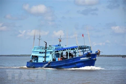 越南各地严厉处置IUU捕捞 力争解除“黄牌”警告