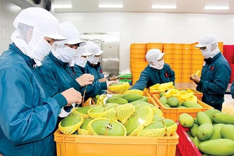 越南对中东市场货物出口额实现强劲增长