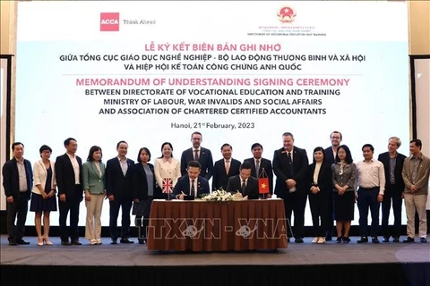 推动越南与英国职业教育领域的合作